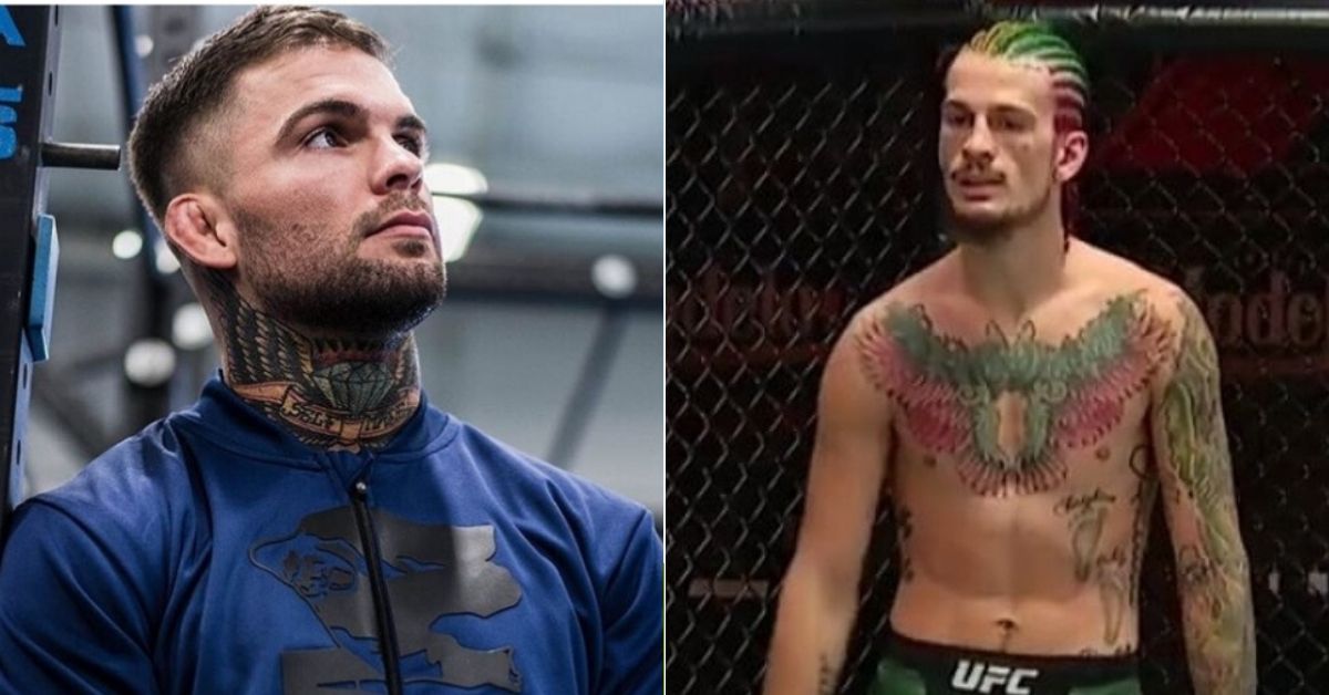 Cody Garbrandt Explains Why His One-Punch KO Was 'Way Better' Than Sean O'Malley's
