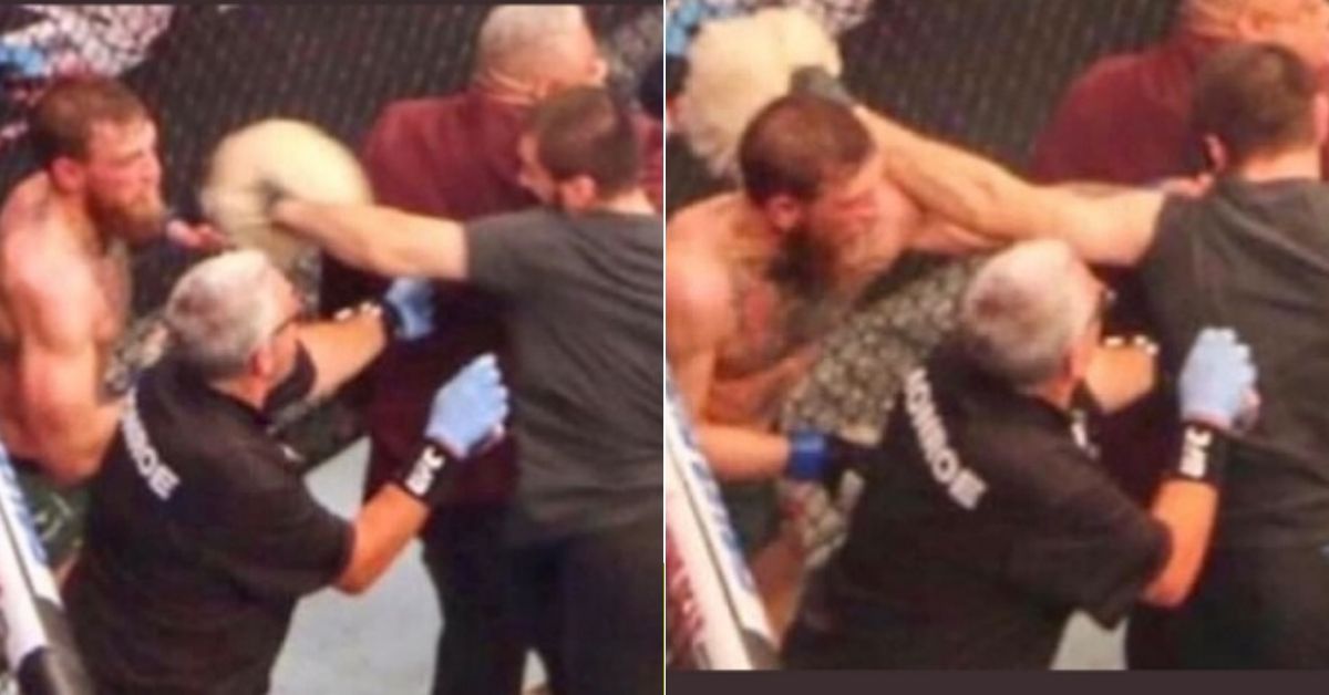 WATCH: Conor McGregor Landed 'Final Blow Of The Night' In UFC 229 Brawl