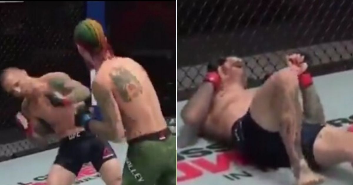 WATCH: Sean O'Malley Produces The Most Stunning Walk-Off KO At UFC 250
