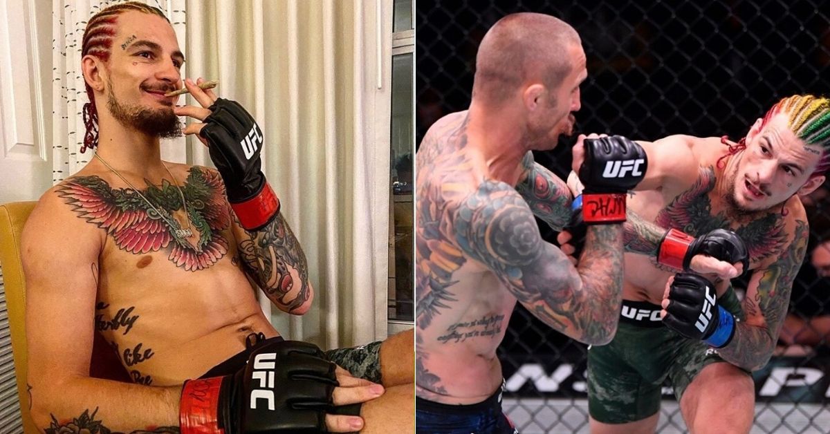 Sean O'Malley Reacts To His Terrifying Walk-Off Knockout At UFC 250