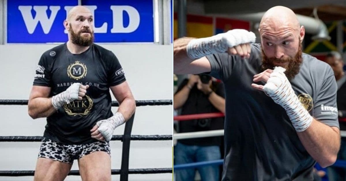 Tyson Fury Teases Potential MMA Debut, Says He's Willing To Train With Conor McGregor