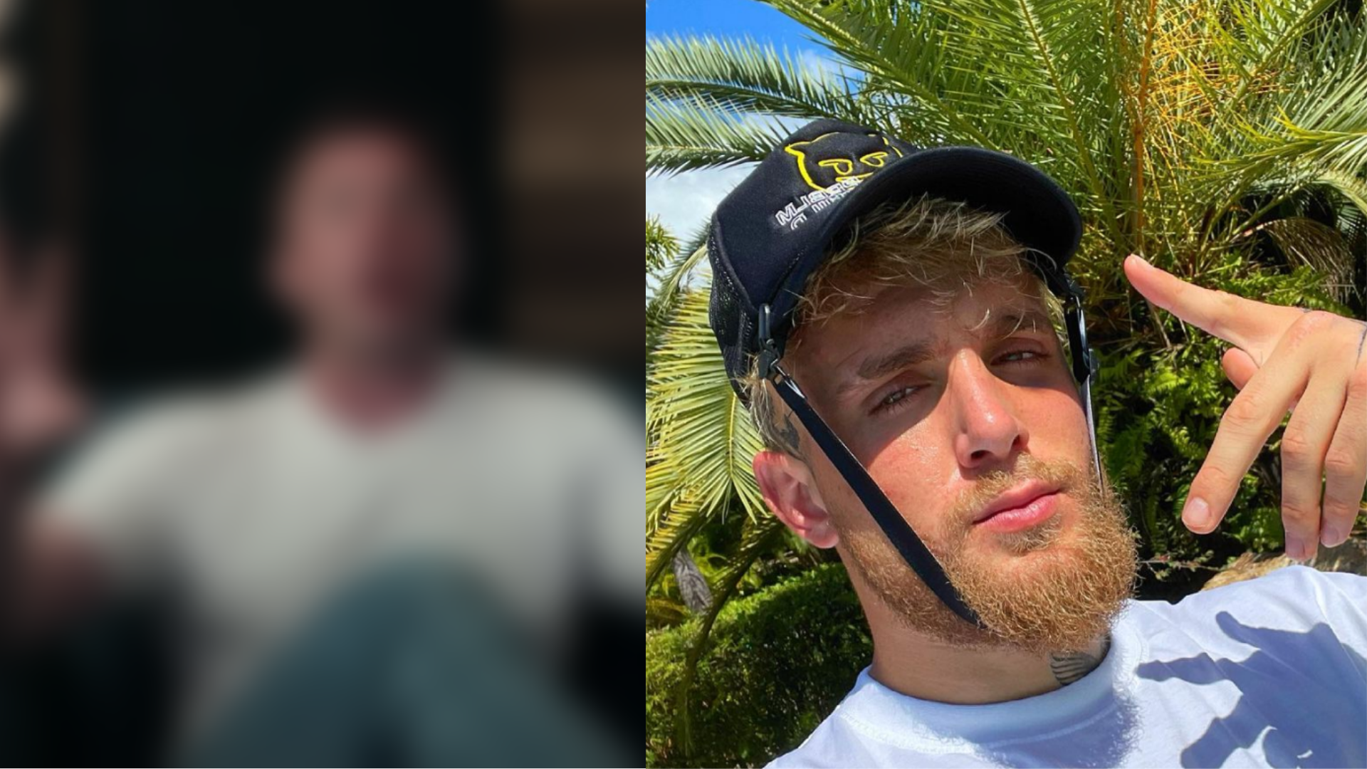 Chael Sonnen reveals he was asked to fight Jake Paul